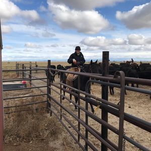 Meet your Posher, Trudy